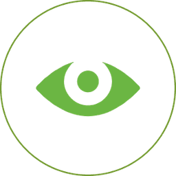 Our Vision